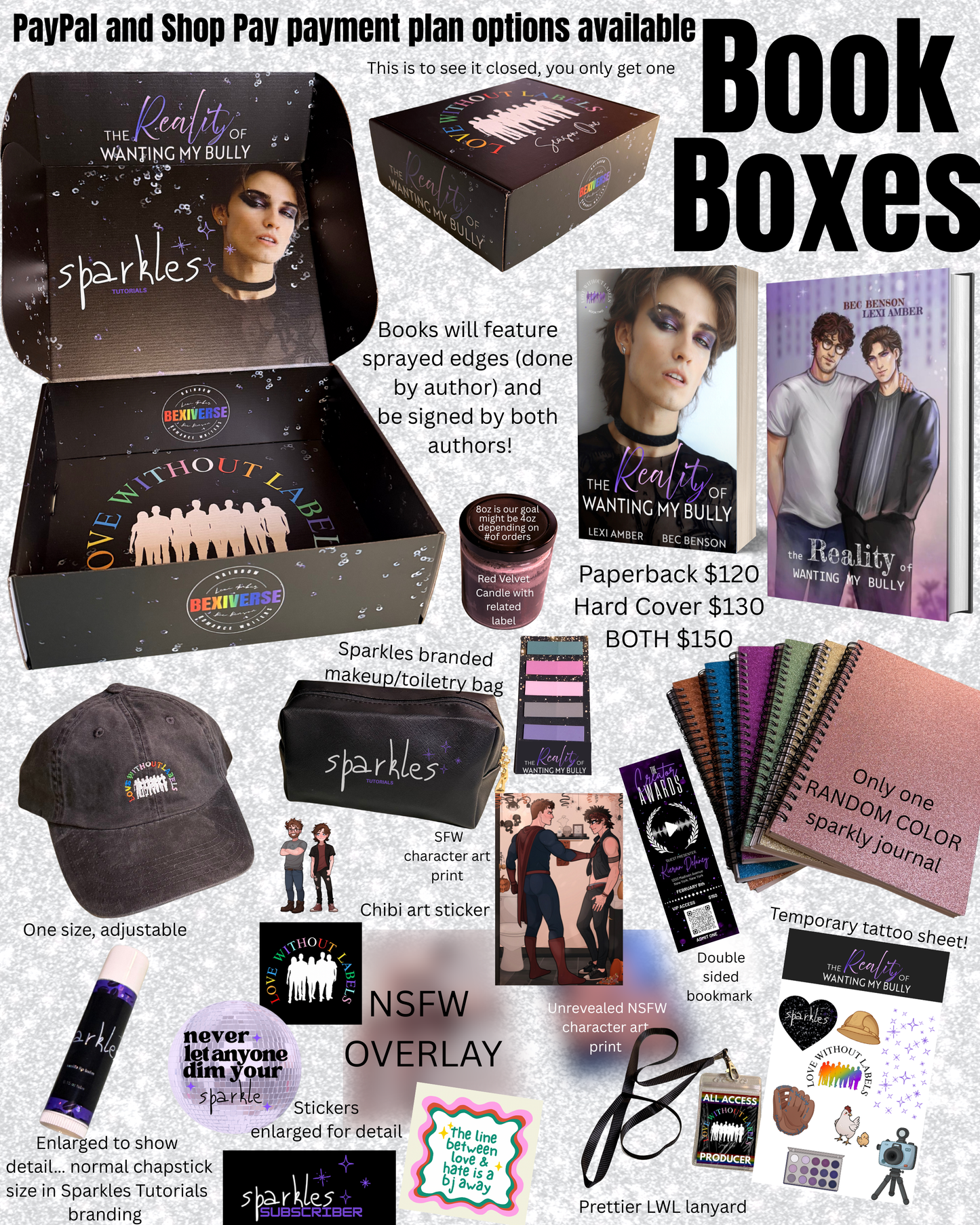 Book Box PREORDER The Reality of Wanting My Bully