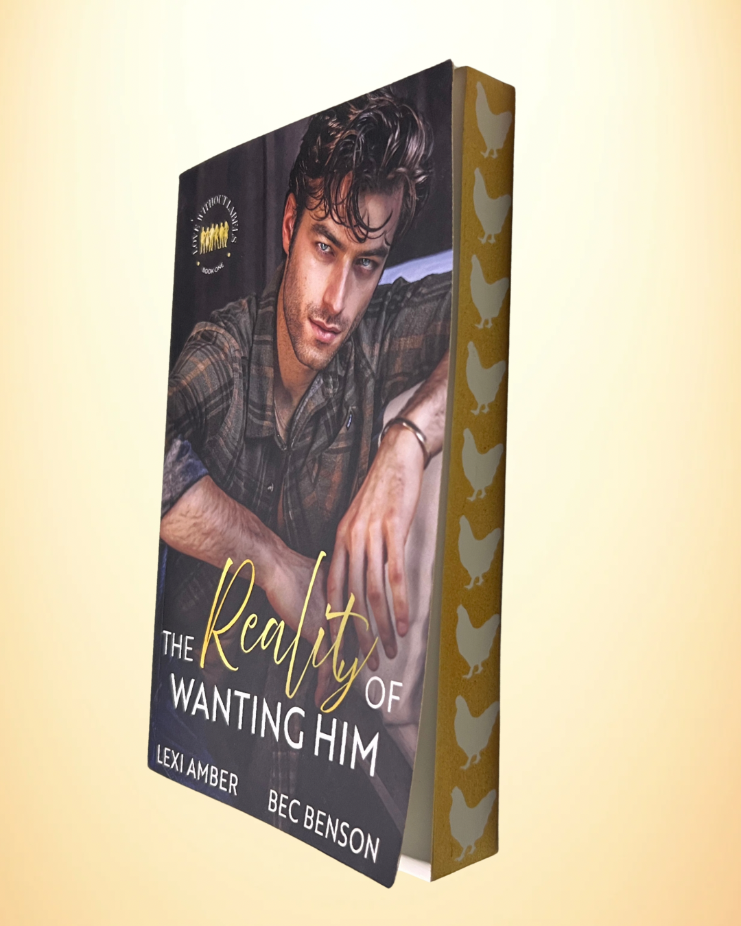 The Reality of Wanting Him Paperback Book Box