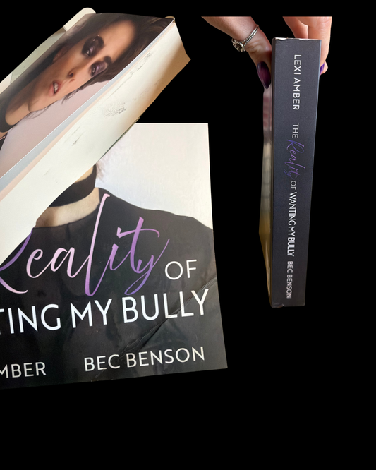 SCRATCH AND DENT The Reality of Wanting My Bully paperback